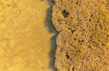 golden aerial view of marshland in croatia