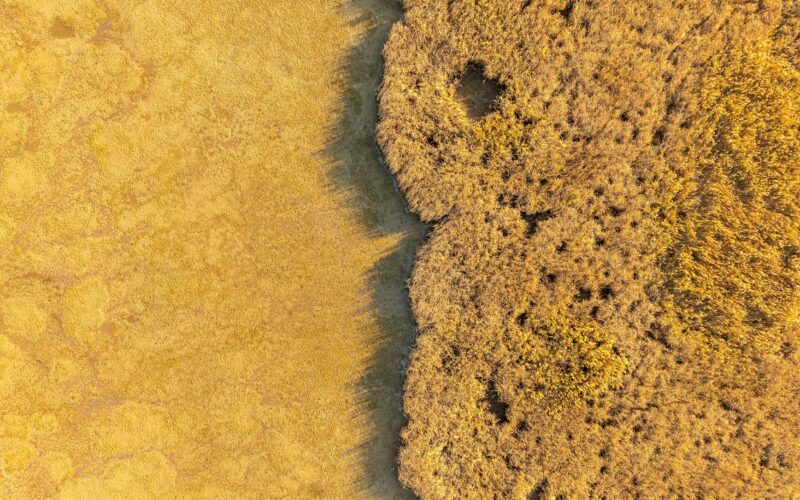 golden aerial view of marshland in croatia